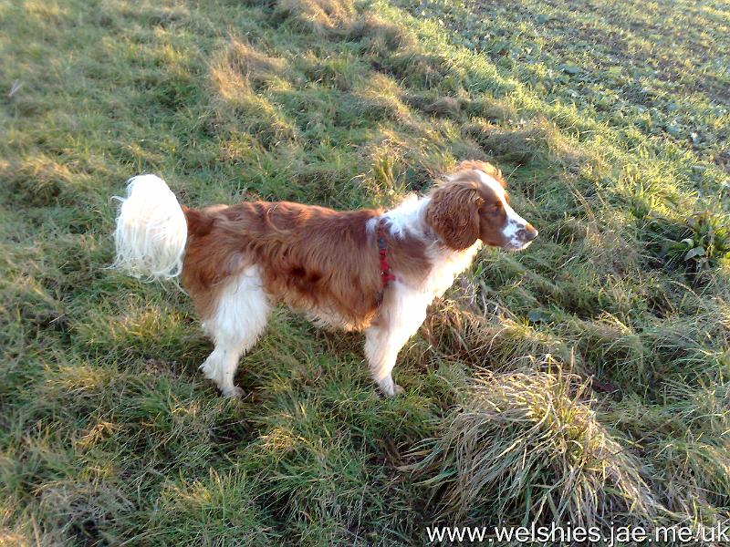 2011-01-09 05.jpg
